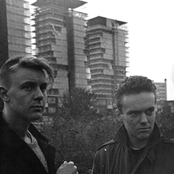 Bourbonese Qualk - List pictures