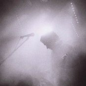 Niila - List pictures