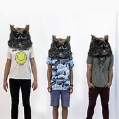 The Mint Chicks - List pictures