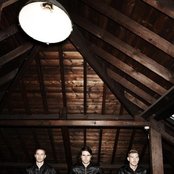 Miike Snow - List pictures