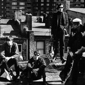 Velvet Underground - List pictures
