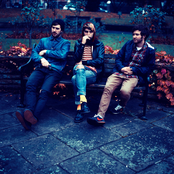 Paws - List pictures