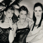 Cake Like - List pictures