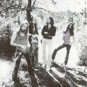 Krokodil - List pictures