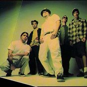 Infectious Grooves - List pictures
