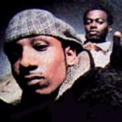 Black Sheep - List pictures