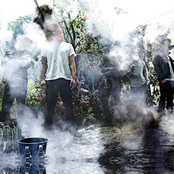 Fact - List pictures