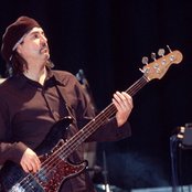 Shine - List pictures