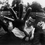 Coil - List pictures