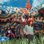 Jellyfish - List pictures