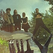 The Cranes - List pictures