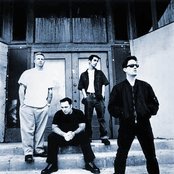 Face To Face - List pictures