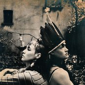 Cocorosie - List pictures