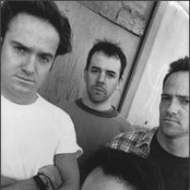 Wrens - List pictures