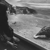 Buffy Sainte-marie - List pictures