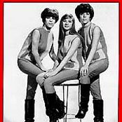 The Shangri-las - List pictures