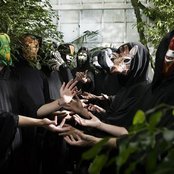 The Sound Of Animals Fighting - List pictures