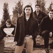 Sons Of The Desert - List pictures