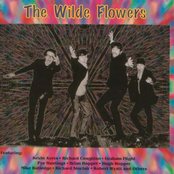 The Wilde Flowers - List pictures