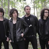 Catfish And The Bottlemen - List pictures