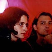 Fang - List pictures