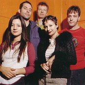 The Geraldine Fibbers - List pictures