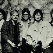 Survivor - List pictures