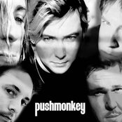 Pushmonkey - List pictures