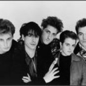 The Woodentops - List pictures