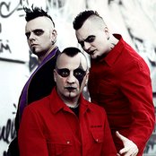 Agonoize - List pictures