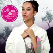 Lotus - List pictures