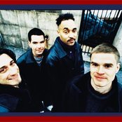 Dog Eat Dog - List pictures