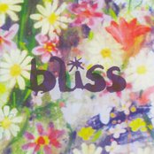 Bliss - List pictures
