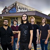 Dreamer - List pictures