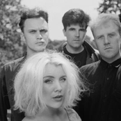 The Darling Buds - List pictures