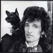 Mink Deville - List pictures