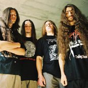 Datura - List pictures