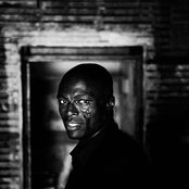 Seal - List pictures