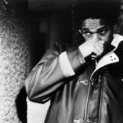 Bows - List pictures