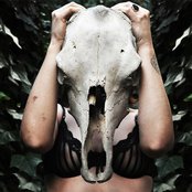 Abbe May - List pictures