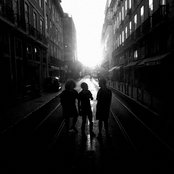 Papaya - List pictures