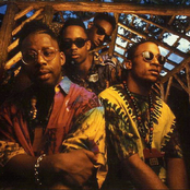 Brand Nubian - List pictures