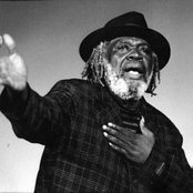 Shadow - List pictures