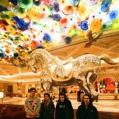 Title Fight - List pictures