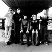 Stereolab - List pictures