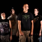 King Conquer - List pictures