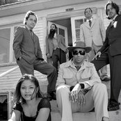 Dengue Fever - List pictures