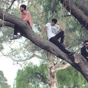 Field Trip - List pictures