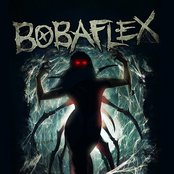 Bobaflex - List pictures