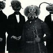 Lard - List pictures